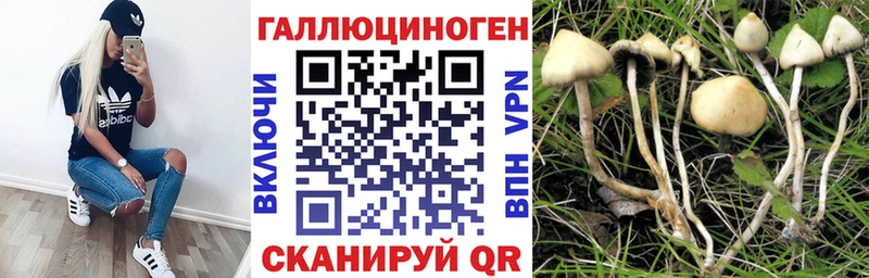 Галлюциногенные грибы Psilocybe  Купить  Гдов 